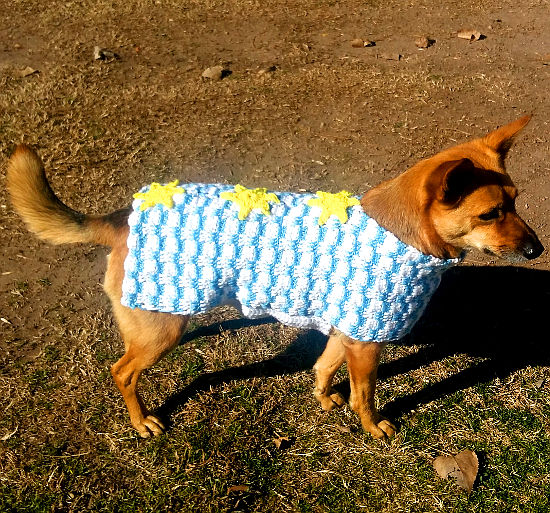 Abrigo para perro en crochet
