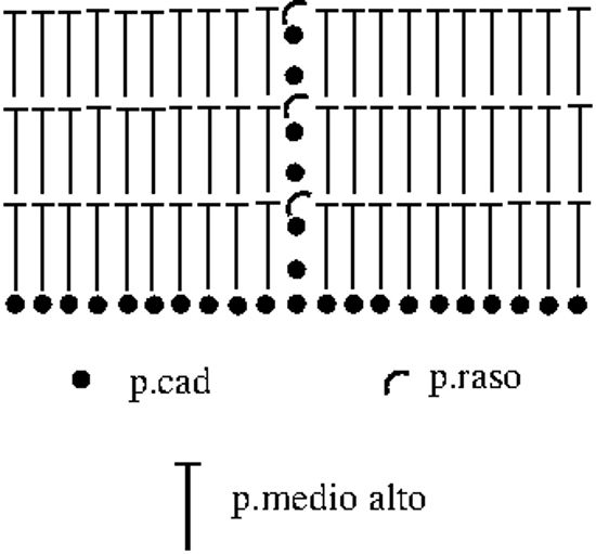 Croquis punto medio alto tubular